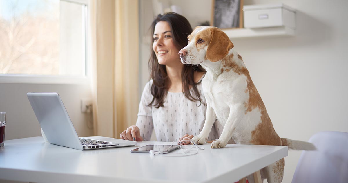 dog and woman looking at computer