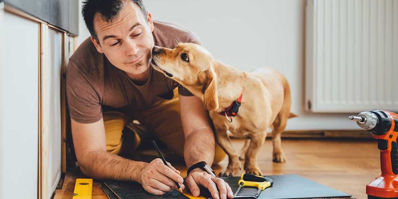 Carpenter working with dog