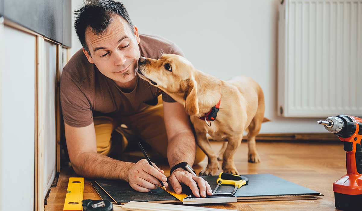 Carpenter working with dog