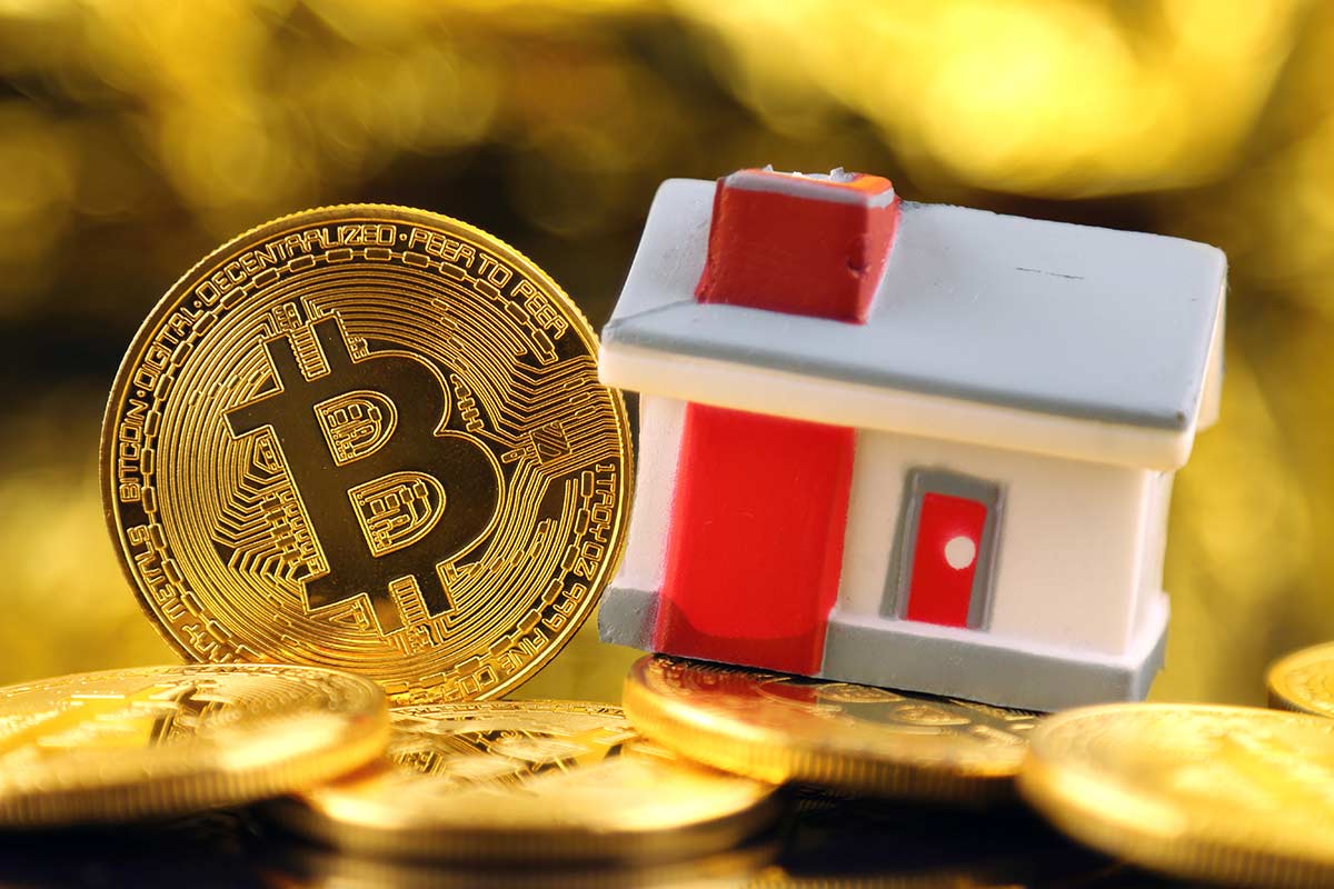 a bitcoin and toy house