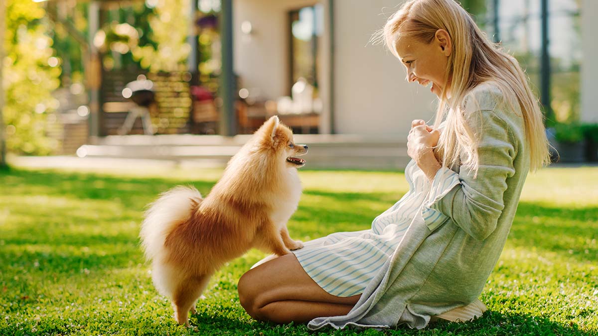 dog and women playing in yard