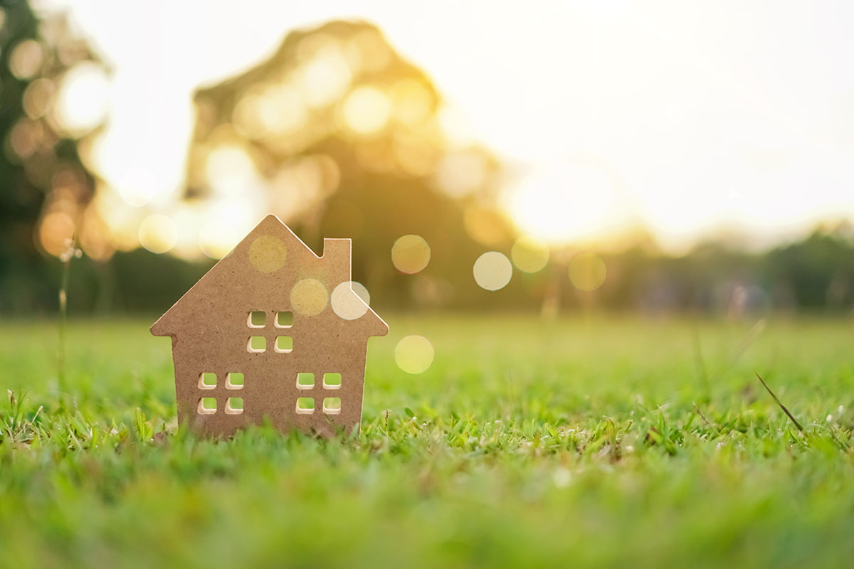 toy house on grassy lawn