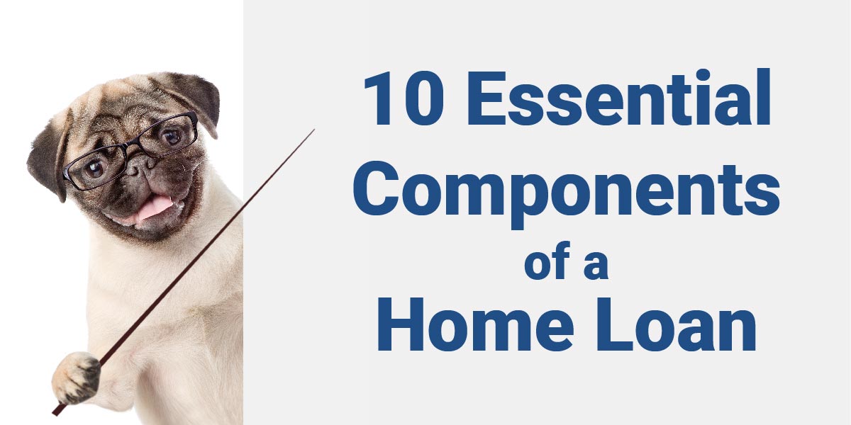 Dog with glasses pointing to 10 essential components of a home loan
